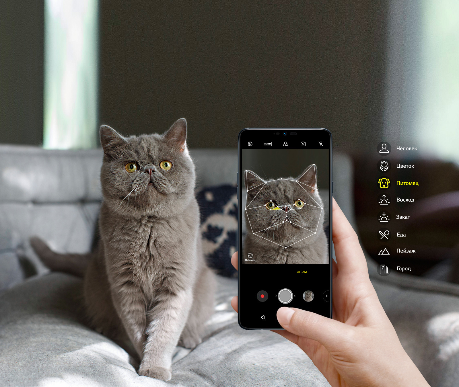 LG G7 Fit